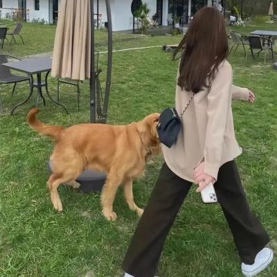 魔鬼藏在同意书